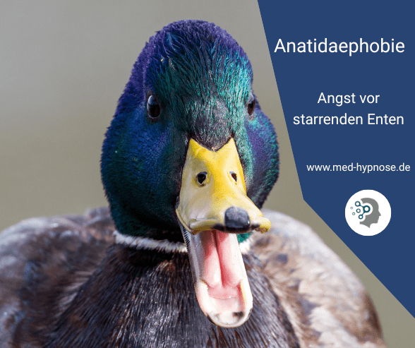 Phobien, Einzelängste